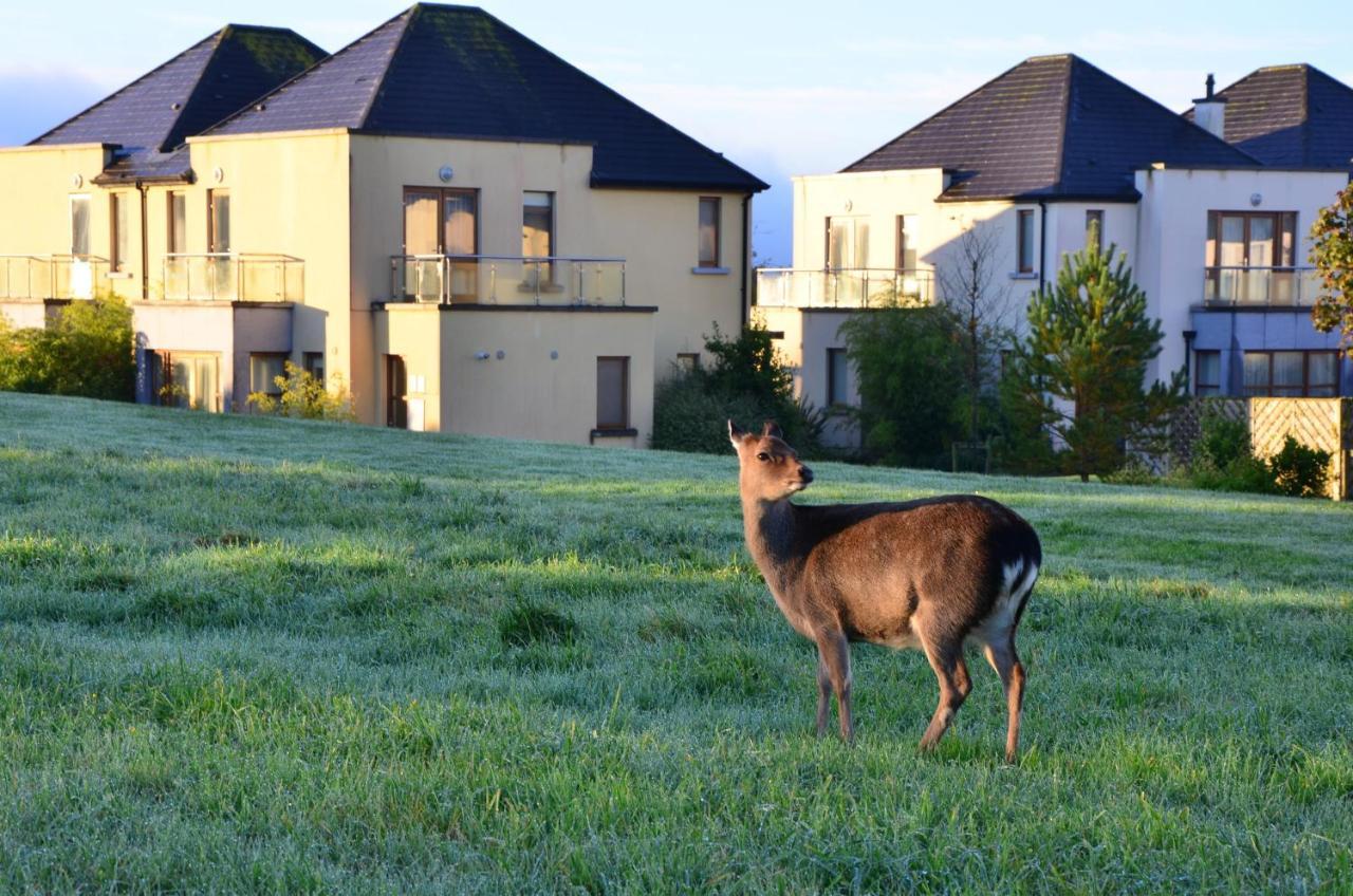 Waterford Castle Hotel & Golf Resort Ballinakill  ภายนอก รูปภาพ